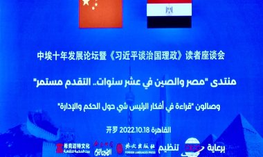 الصين تعرب عن أمنياتها بنجاح مصر في تنظيم مؤتمر COP27