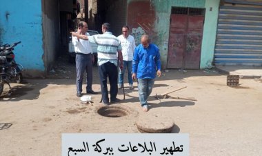 حملات مكثفة لصيانة أعمدة الإنارة وشبكات الكهرباء بالمنوفية.. صور