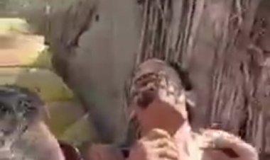 داخل حقيبته بينج.. ضبط شاب تخفى في ملابس سيدة أمام المعهد الديني بالمنوفية (فيديو)