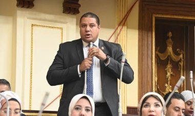 برلماني يتقدم بمشروع قانون لتنظيم هيئة الثروة المعدنية