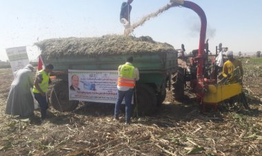 محافظ أسيوط: تدشين مبادرة لمناهضة الحرق المكشوف للمخلفات الزراعية