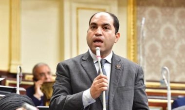 نائب بالتنسيقية: قناة القاهرة الإخبارية نافذة تعبر من خلالها مصر عن مواقفها