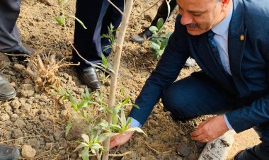 تعليم الإسكندرية تطلق مبادرة مصر الخضراء