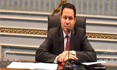 «الحصري» يكشف عن أهمية لجنة متابعة حل أزمة نقص أعلاف الدواجن