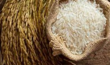 وزير التموين: توريد 140 ألف أرز شعير من المزارعين حتى الآن