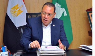 محافظ الشرقية: رصف طرق خلوة أبو حطب بنطاق منيا القمح