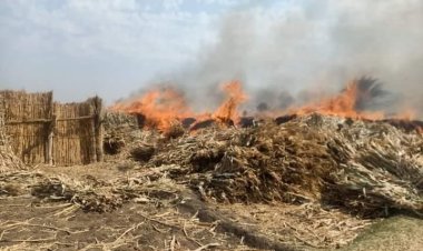 حريق يلتهم نصف فدان ذرة شامية بطما