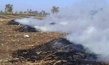 تحرير 38 محضر مخالفة بيئية لحرق المخلفات الزراعية بسوهاج