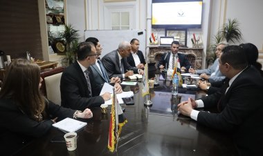 رشا عمر:   أرباح  شركات قطاع الأعمال تقدر بالمليارات