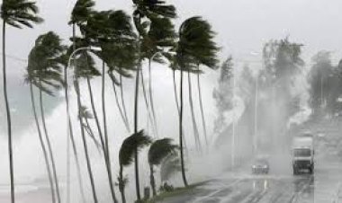 إعصار «روزلين» يجتاح مدينة بويرتو فالارتا المكسيكية