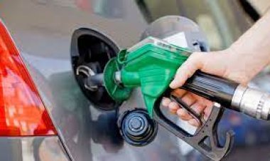 خبير اقتصادي لـ«العاصمة»:  التضخم  وراء زيادة تسعيرة المواصلات.. وارتفاع في الأسعار قريبًا