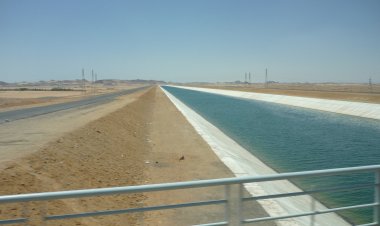 الشيخ زايد في مصر .. سيرة خالدة ومشروعات إنسانية حيوية