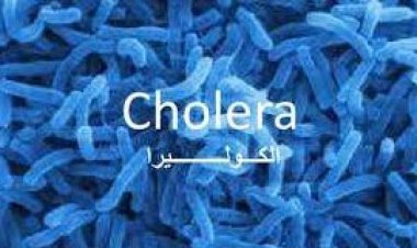 الصحة اللبنانية تُعلن تسجيل 3حالات وفيات بوباء «الكوليرا»