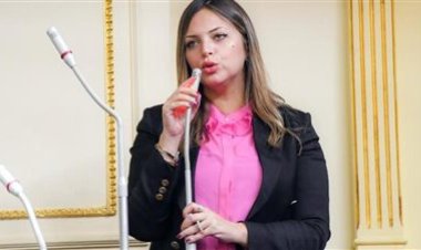 النائبة مي رشدي: العالم يعاني من أزمة اقتصادية طاحنة