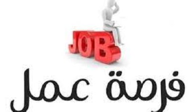 الجيزة تعلن عن وظائف متاحة لشباب المحافظة