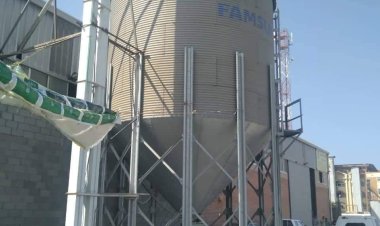 ارتفاع حصيلة توريد الأرز الشعير بمضرب الشرق الأوسط ببورسعيد موسم  2022