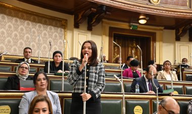 النائبة "مي كرم "توافق على قانون تنظيم النقل النهري: يتوافق مع الجمهورية الجديدة