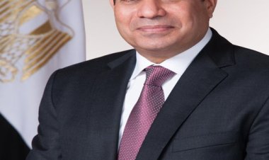 الأحزاب تثمن قرار الرئيس السيسي بالإفراج عن زياد العليمي