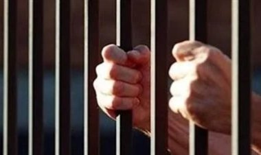 هؤلاء خارج «جنة العفو الرئاسي».. «العاصمة» يرصد آليات اختيار العناصر المفرج عنهم