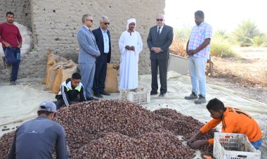 محافظ قنا: مشروعات الأمن الغذائي تحقق توازن الأسعار بالسوق المحلي 