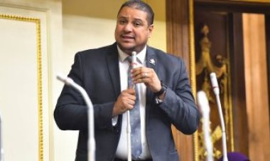 برلماني: اتفاق المنحة يستهدف دعم تمويل الاستثمارات الصديقة للبيئة