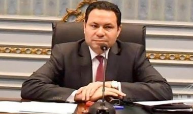 «الحصري»: تحويل المناطق الصناعية إلى مدن سكنية من مكاسب المؤتمر الاقتصادي