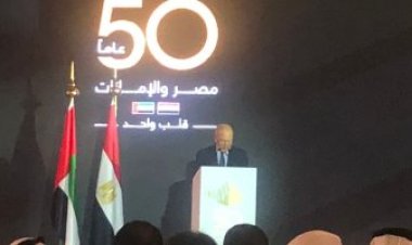 أبو الغيط: يجب الحديث على الإمكانات التي تنطوي على العلاقات المصرية الإماراتية