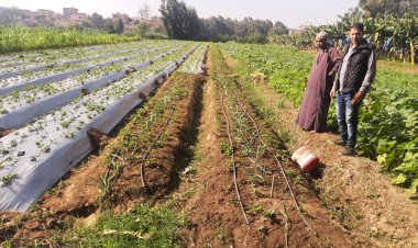 محافظ المنوفية: تمويل 90 مشروعا اقتصاديا ضمن «إقراض الأسر»