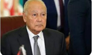 نص كلمة «أبو الغيط» في الاحتفال بمرور50 عاما على العلاقات المصرية الإماراتية