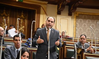 برلماني  يطالب بإنشاء صندوق للإنفاق على علاج أمراض الأطفال المستعصية والمكلفة