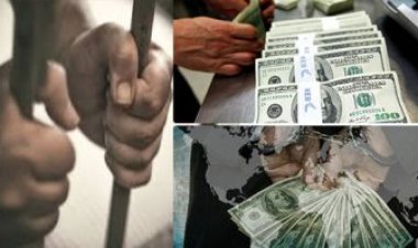 40 مليون جنيه برائحة المخدرات.. سقوط 3 أشخاص في قضية غسيل أموال بالمنصورة