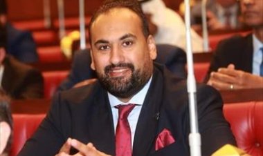عضو بـ«الشيوخ»: الدولة تبذل قصارى جهدها لتحسين معيشة المواطنين