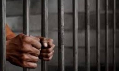 المشدد 15 عاما وغرامة 200 ألف جنيه لمتهم بالاتجار في المخدرات بالشرقية