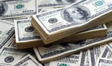 توقعات سعر الدولار 2024