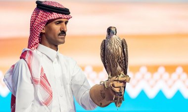 طاروح من الأحساء يبيع صقرين بـ 196 ألف ريال في مزاد