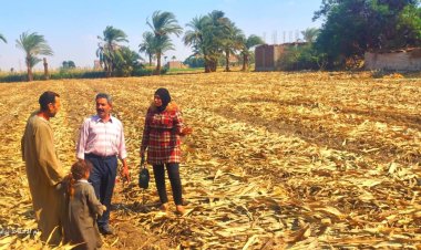 محافظ أسيوط: استمرار تنظيم ندوات توعية لمناهضة الحرق المكشوف للمخلفات الزراعية