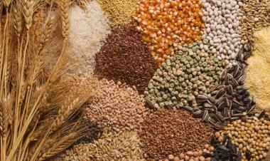 ألمانيا تطالب روسيا بالتزامها بتصدير الحبوب الأوكرانية عبر البحر الأسود