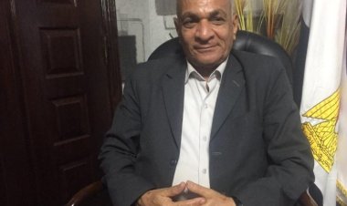 رئيس حزب «الريادة»: سنهتم اهتمامًا كبيرًا بالتوعية بالمشروعات الصناعية