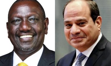 الرئيس السيسي ونظيره الكيني يؤكدان ضرورة التوصل لاتفاق قانوني لملء وتشغيل سد النهصة