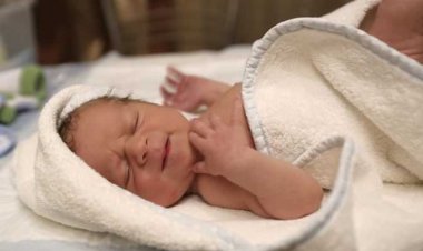 القبض على المتهمين بإلقاء طفلة حديثة الولادة بالشرقية