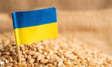 بعد هجوم استهدف سفنها.. روسيا تعلق اتفاق تصدير الحبوب الأوكرانية