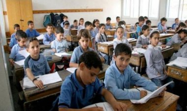 تصدرت محركات البحث.. توزيع منهج العلوم للصف السادس الابتدائي 2023