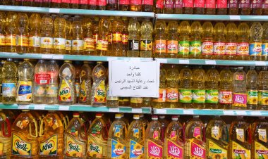 لضبط الأسعار.. جولة مفاجئة لمحافظ قنا داخل أسواق الخضروات والسلاسل التجارية