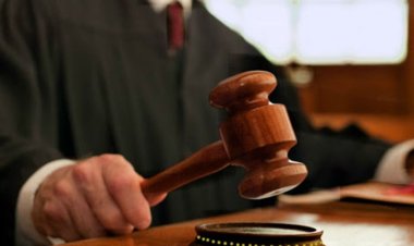 تأجيل محاكمة المتهمين بإنهاء حياة سائق توك توك لجلسة 28 نوفمبر