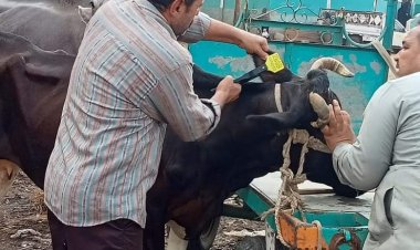 «حياة كريمة» تقدم خدماتها لأهالي مركز قطور بالغربية