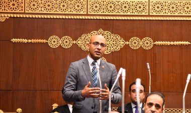 برلماني: قانون التعويضات رسالة واضحة من الدولة لدعم الاستثمار والصناعة