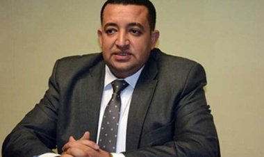 «برلماني»: مشروع الشبكة الوطنية الموحدة إنجاز تاريخي كبير 