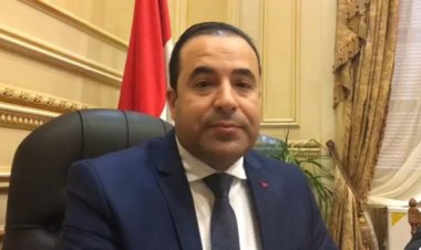 «برلماني»: التحول الرقمي بمثابة العبور للجمهورية الجديدة