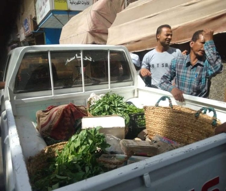 محافظ سوهاج يقرر التحقيق في واقعة ضرب سيدة جهينة