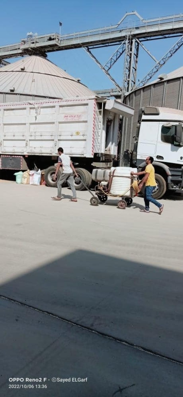 بسبب السوس.. محافظ القليوبية يوجه برش المناطق المحيطة بصوامع عرب العليقات بالخانكة